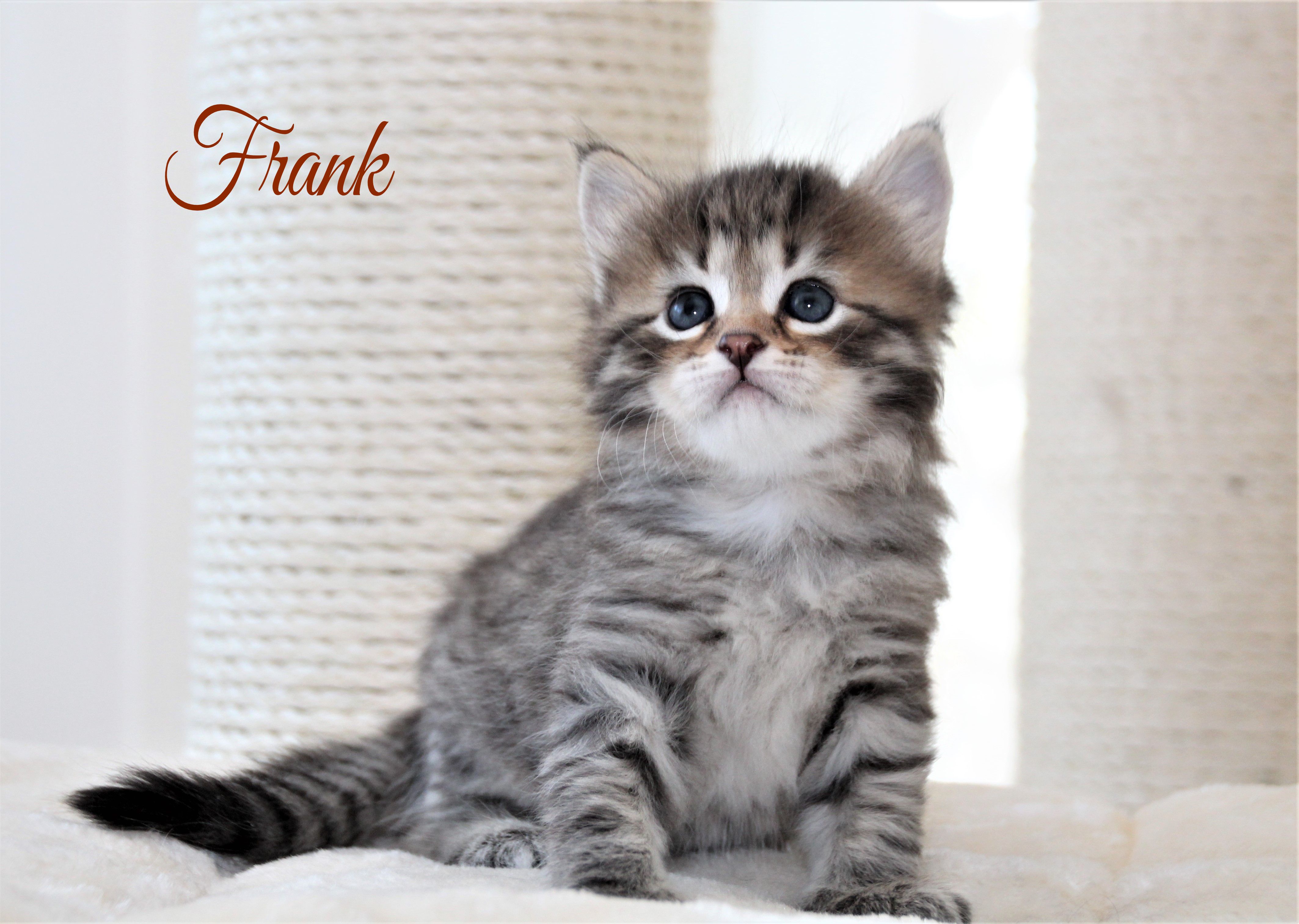 Frank, 1 Monat alt